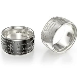 Triangel Ring one world Silber hell